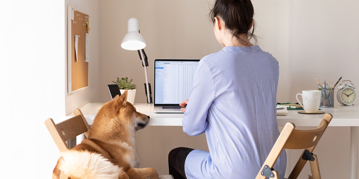 A data analyst working on a laptop with a dog laying beside them