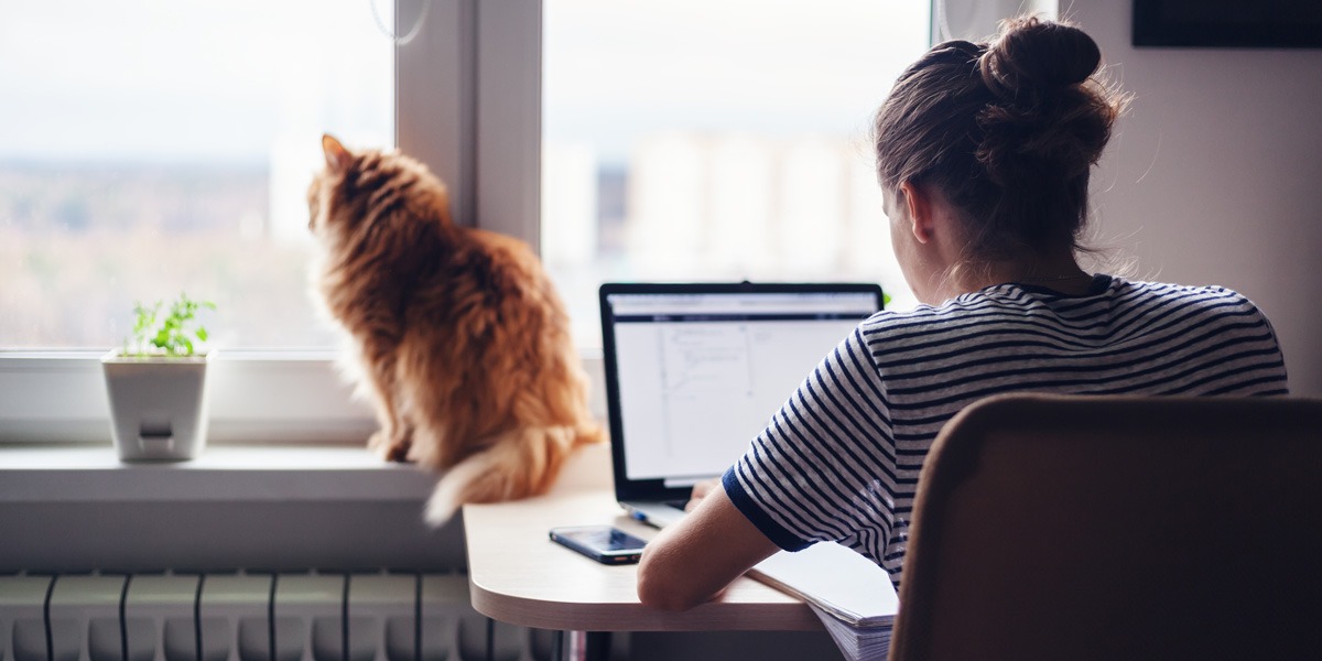 An aspiring designer, back to the camera, working at a desk with their laptop and cat