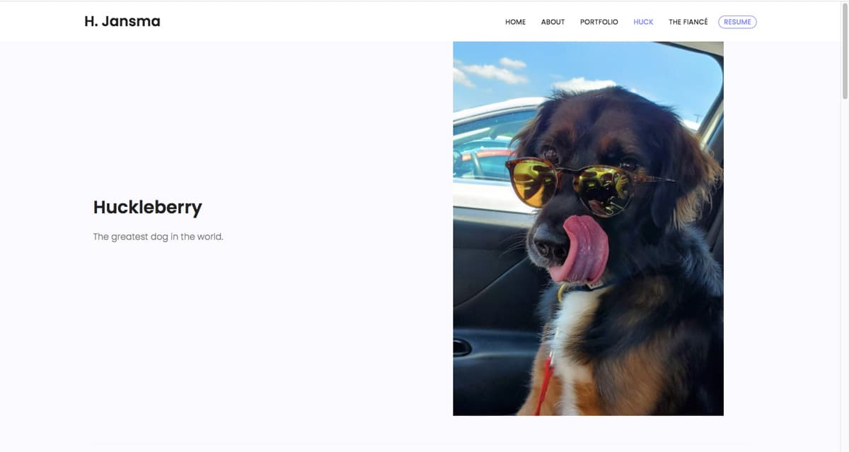 A picture of a dog featured on Harrison Jansma's data analytics portfolio website.