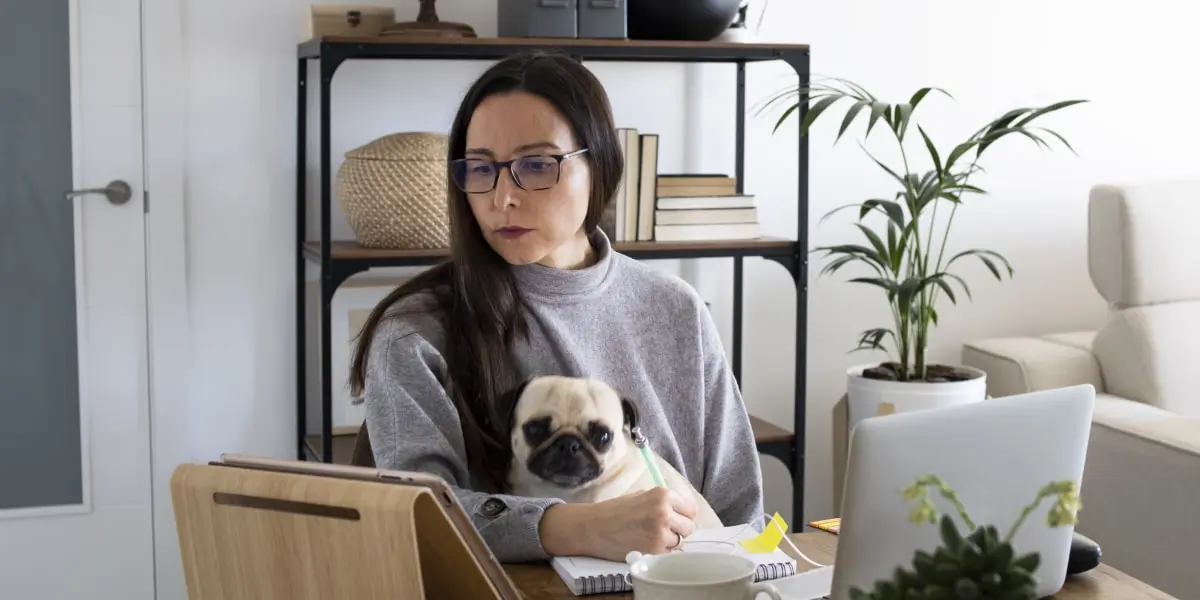 A marketing professional working from home on a laptop with a dog on their lap