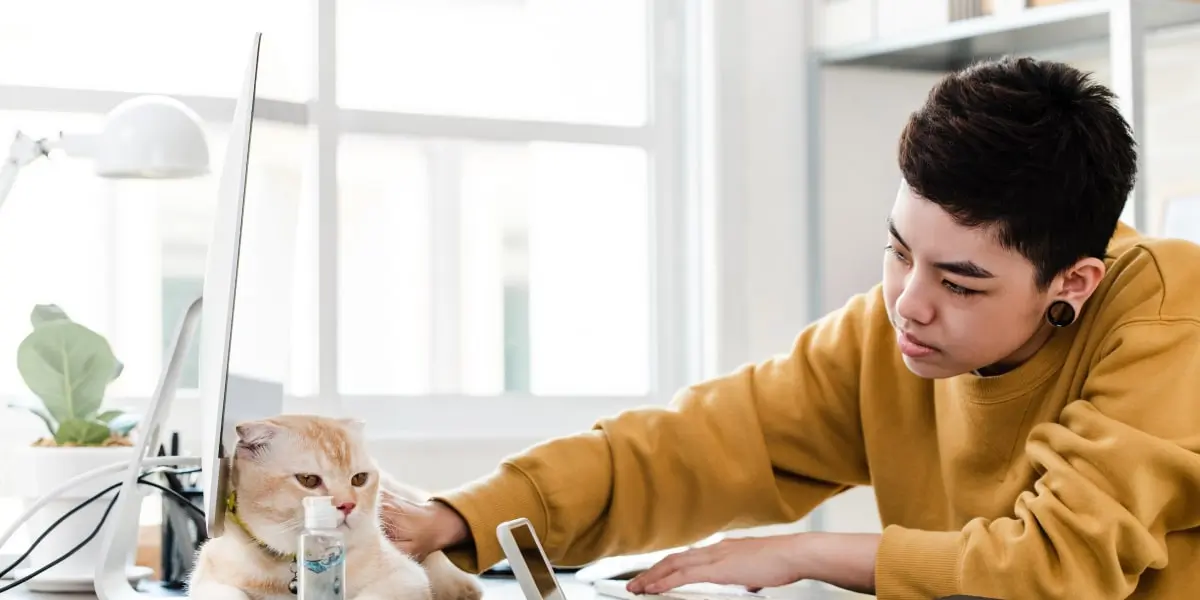 A marketing professional working from home, sitting at a desk with a cat