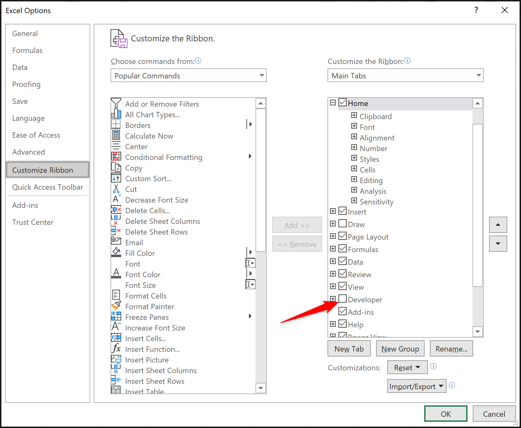 The developer tab in Excel