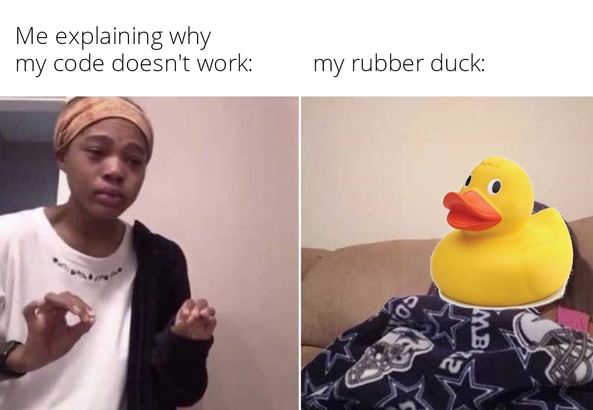 A rubber duck debugging meme which is the popular "Me Explaining to My Mom" with a duck in place of the mom.