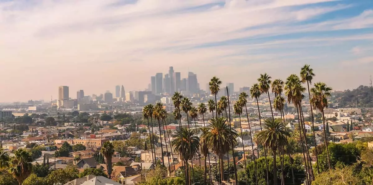 Shot of the Los Angeles skyline with palm trees in the foreground.