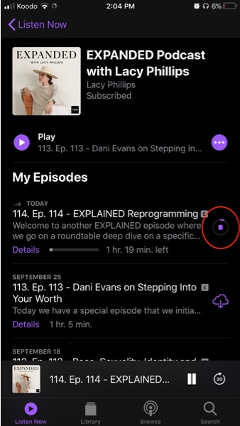 Screenshot of a podcast downloading with a progress wheel