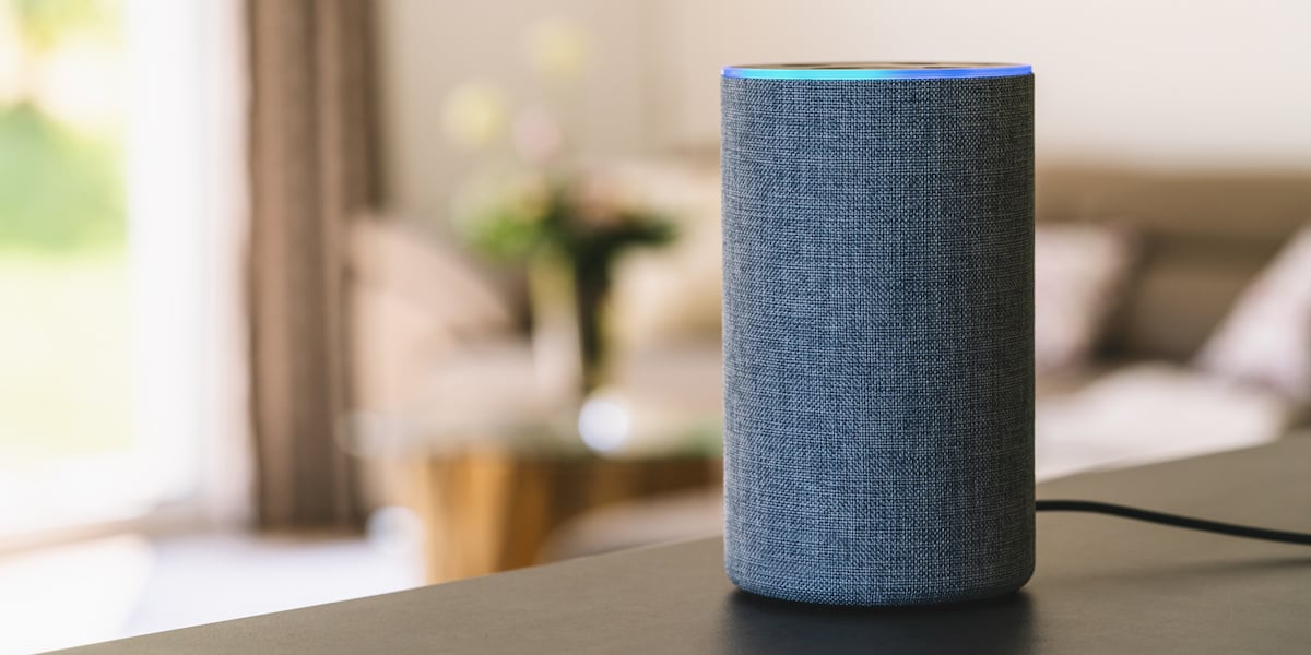 A Google Home voice device