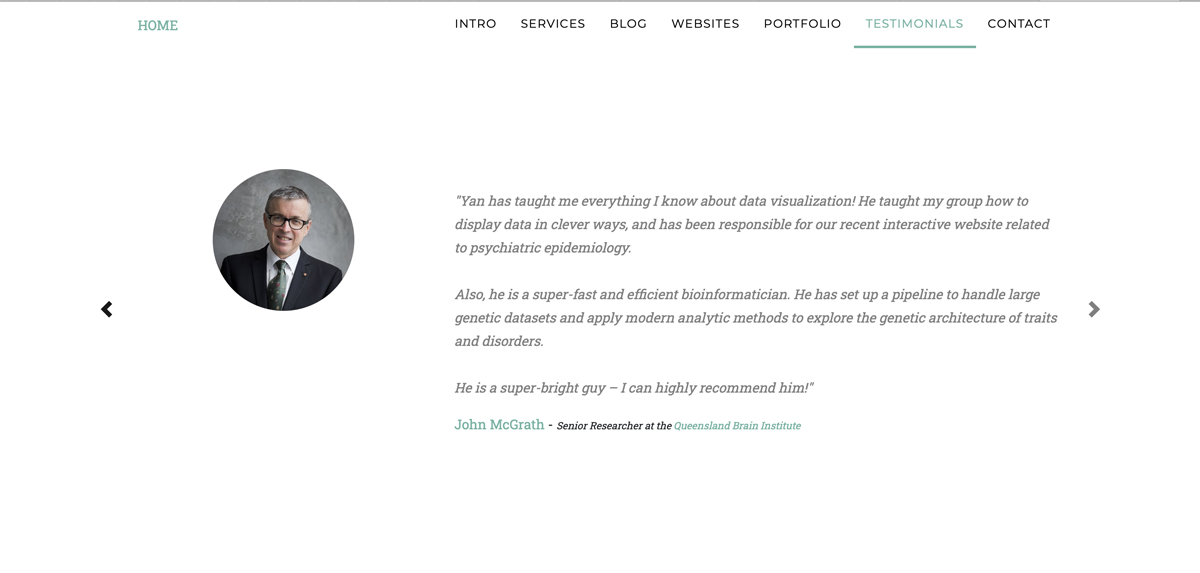 A screengrab showing a testimonial on data scientist Yan Holtz’s website